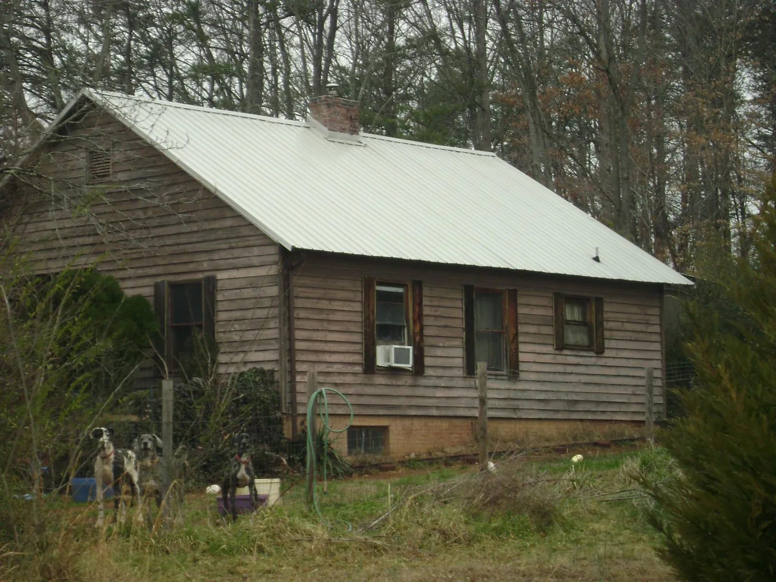 White metal roof on an old wood sided farmhouse, from a Asphalt Shingle Roof Repair job in Medway